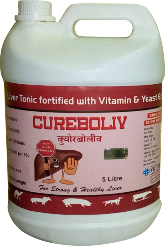 LIVER SUPPLEMENT