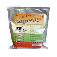 Calcium powder Feed Supplements