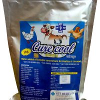 Electrolyte powder feed supplement