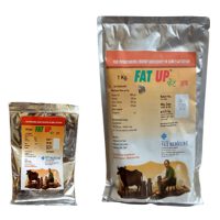 Fat & milk booster animal feed supplement